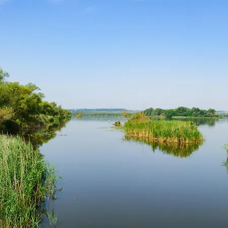 Lejlighed In 38062 *